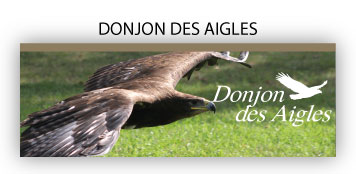 Visitez le site du Donjon Des Aigles